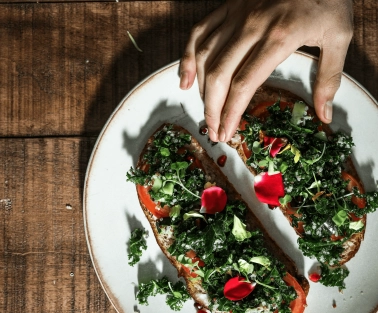 About Vegan & vegetarian