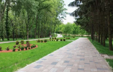 Babyn Yar in Kyiv - peaceful paved alley lined with tall trees and manicured green lawns