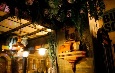 Cozy interior of Buena Vista Social Club with plants and lamps