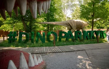 Напис #DINOPARKKYIV на тлі дерев та дерев'яної доріжки в Гідропарку