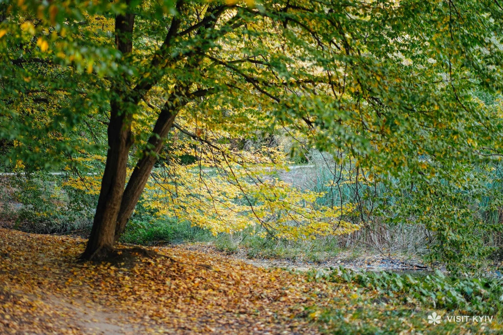 gallery-swiper__item-img