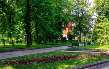 Khreshchatyi Park in Kyiv - landscaped paths with red flower beds