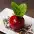 chary restaurant 6
