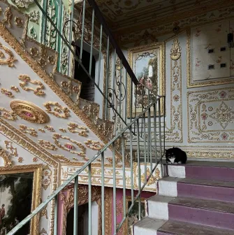 The “Versailles” Stairwell - staircase with gold stucco, paintings and a cat