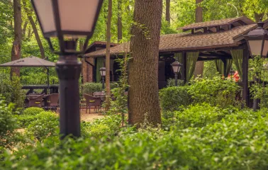 Park hotel Holosievo - view of the hotel forest