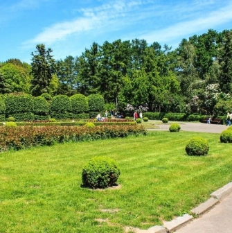 Green lawn with trimmed bushes in the Hryshko Botanical Garden in Kyiv