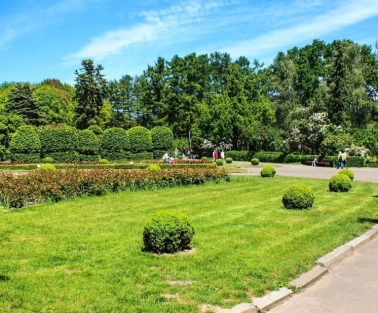 Green lawn with trimmed bushes in the Hryshko Botanical Garden in Kyiv