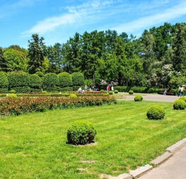 Green lawn with trimmed bushes in the Hryshko Botanical Garden in Kyiv