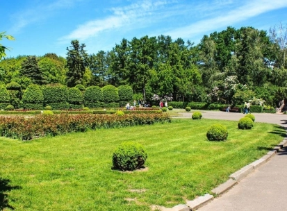 Green lawn with trimmed bushes in the Hryshko Botanical Garden in Kyiv