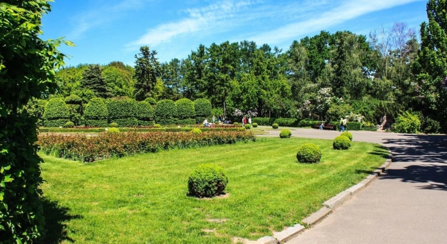 Green lawn with trimmed bushes in the Hryshko Botanical Garden in Kyiv