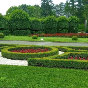 Decorative garden with geometric flower beds and hedges in the Hryshko Botanical Garden
