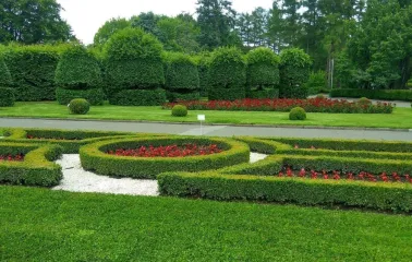 Decorative garden with geometric flower beds and hedges in the Hryshko Botanical Garden