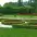 hryshko national botanical garden 2