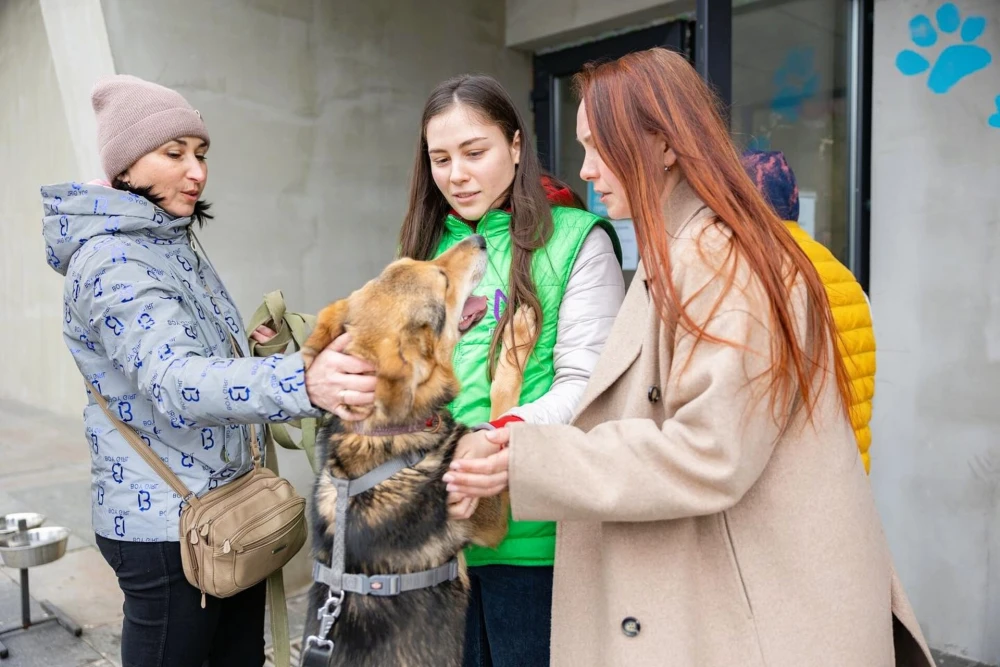 Patron Pet Center in Kyiv - women petting a dog during a walk