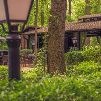 Park hotel Holosievo - view of the hotel forest