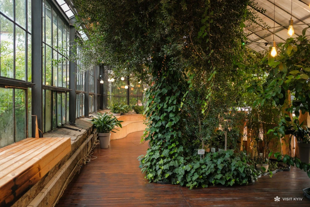 photo of a greenhouse in VDNG inside